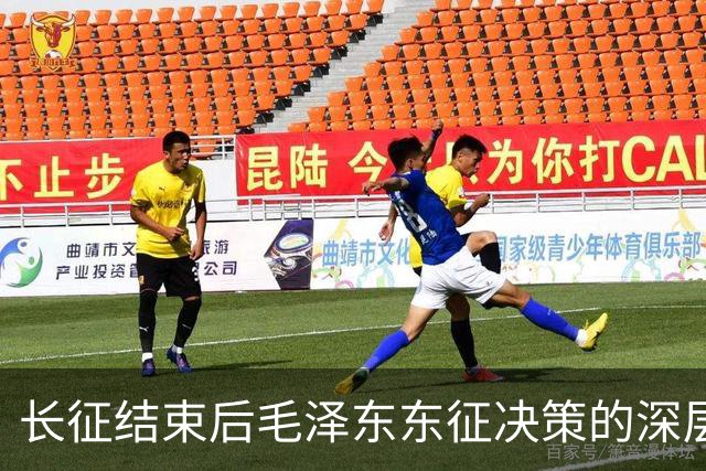 长征结束后毛泽东东征决策的深层原因探析