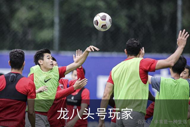 龙八头号玩家企业介绍